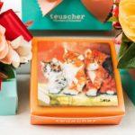 A box of chocolates with two cats on it