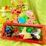 Bunnies & Half Eggs in Clear Box