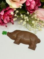 A chocolate bear with a green leaf on it.