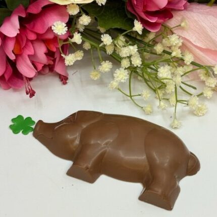 A chocolate bear with a green leaf on it.